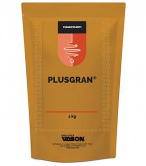 plusgran-web1